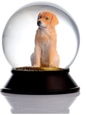 Mena Rise Cam ve Reçine Patiler Köpek Retriever Kar Küresi Hediye