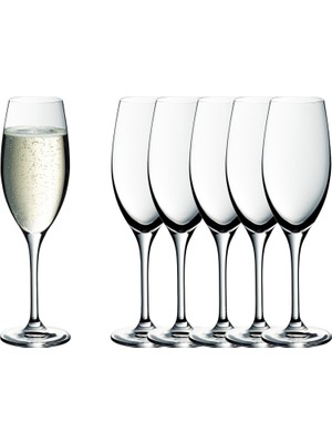 Mena Rise 6'lı Şampanya Kadehi