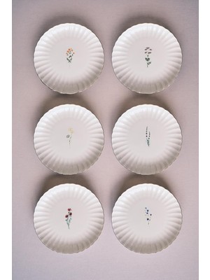 Mena Rise Tiny 6 Parça 21 cm Pasta Takımı