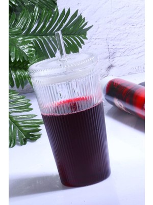 Mena Rise Diyarı Cam Pipetli Çizgili Kapaklı Özel Tasarım Cam ve Meşrubat Bardağı Şeffaf