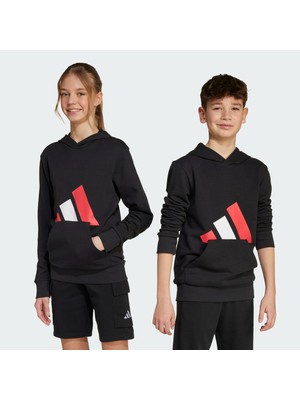 Adidas Sportswear JY0301 Essentials Hoodie Kids