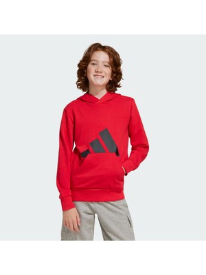 Adidas Sportswear JE1389 Essentials Hoodie Kids