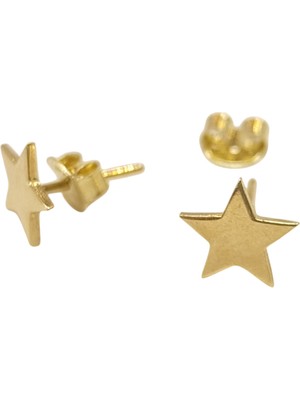 Genel Yıldız Vidalı Küpe 14 Ayar Altın Hd Videolu