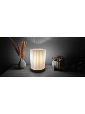 Noctabir Auristria Lambayla Zarafeti Gün Işığına Çıkarın