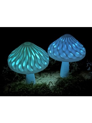 Noctabir Çift Renkli Modüler Mantar Kapakları (Karanlıkta Parlayan)