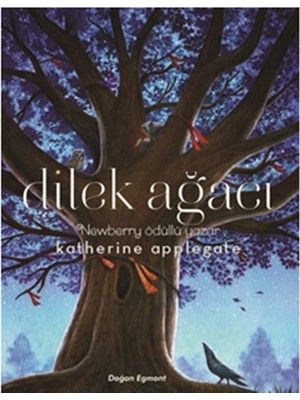 Tp Dilek Ağacı