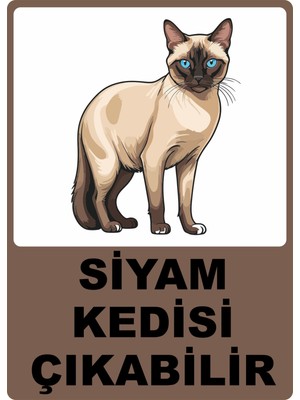 Chicart Design Studio Siyam Kedisi Çıkabilir Dijital Uv Folyo Yapışkan Baskı Uyarı Etiket Sticker 25X35