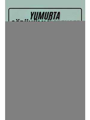 Ceylan Adam Yumurta Görünümlü Masa ve Gece Lambası Renk Değiştirebilen Projektör