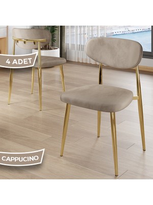 Canisa Laos Serisi 4 Adet  Cappucino Mutfak Sandalyesi Gold Kaplama Metal Ayak 1.sınıf Babyface Kumaş