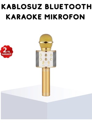 Shopwave Karaoke Mikrofonu Bluetooth USB Aux Girişli Yankı Efektli