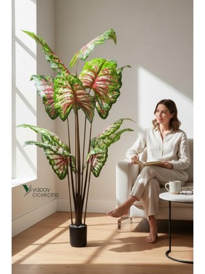 Yapay Çiçekçiniz 14 Büyük Yapraklı 180 cm Yapay Fil Kulağı Ağacı