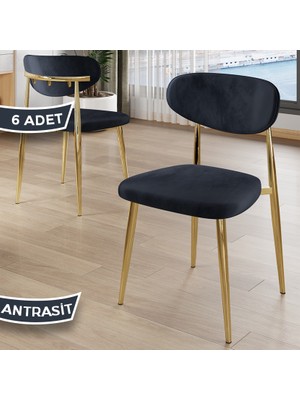Canisa Laos Serisi 6 Adet Antrasit Mutfak Sandalyesi Gold Kaplama Metal Ayak 1.sınıf Babyface Kumaş