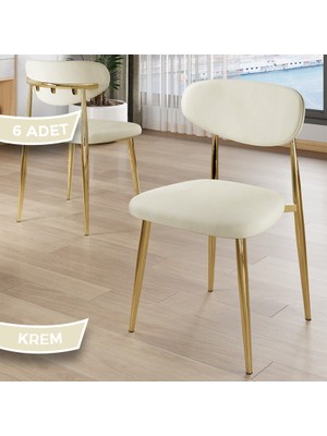 Canisa Laos Serisi 6 Adet Krem Mutfak Sandalyesi Gold Kaplama Metal Ayak 1.sınıf Babyface Kumaş