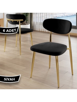 Canisa Laos Serisi 6 Adet Siyah Mutfak Sandalyesi Gold Kaplama Metal Ayak 1.sınıf Babyface Kumaş