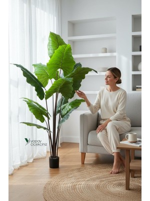 Yapay Çiçekçiniz 14 Büyük Yapraklı 180 cm Yapay Fil Kulağı Ağacı