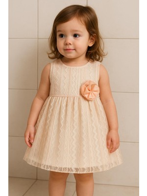 Rapapa Kız Çocuk Pudra Dantel Elbise – Çiçek Detaylı Şık Model 500525