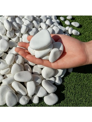 Lin Dekor Beyaz Dolomit Taş 2-4 cm 40 kg Dere Taşı Çakıl Taşı Bahçe Süs Taşı Peyzaj Taşı Dekoratif Taş