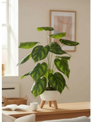 Nettenevime Yapay Çiçek Salon Bitkisi Difenbahya 70CM 18 Yaprak Beyaz Zigon Saksıda