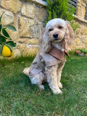 Maia Studio Mocha Çift Taraflı Köpek Deri Ceket