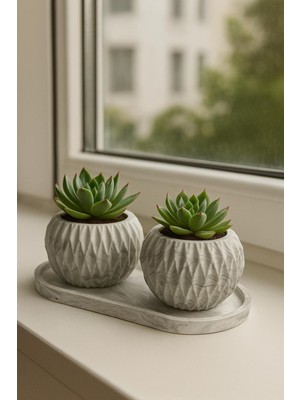 Sisay Home Geometrik Desenli 2’li Sukulent Saksısı – Dekor Seti