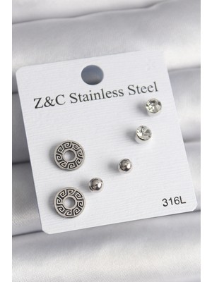 Shopwe 316L Çelik Gümüş Renk Zirkon Taşlı Labirent Model Kadın Küpe Seti