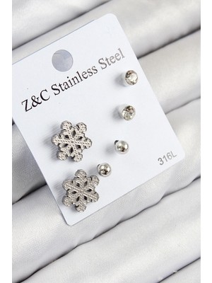 Shopwe 316L Çelik Zirkon Taşlı Kar Tanesi Model Gümüş Renk Kadın Set Küpe