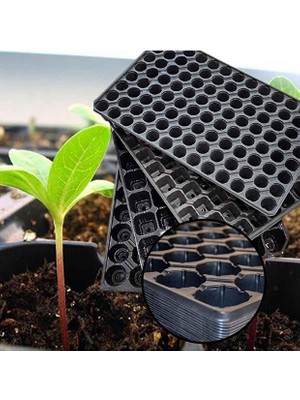 5’li Set 72 Göz Fide Viyolü – Sebze Meyve Fide Yetiştirme Çimlendirme Tepsisi Tohum Ekim Dikim Kabı