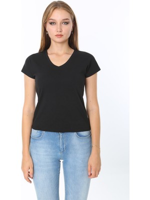 Rooted Kadın V Yaka Basıc T-Shırt % 100 Cotton