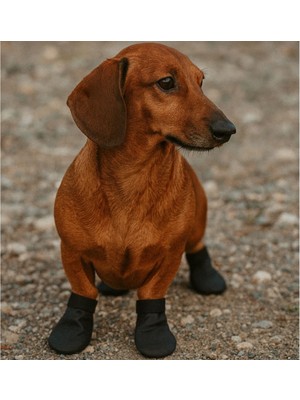 By Lily Köpek Ayakkabısı, Su Geçirmez, (XS,S,M,L,XL)