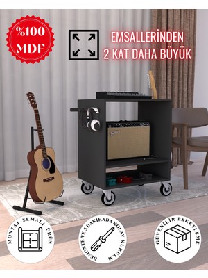 Fonksiyonel Dekoratif Gitar Dolabı | %100 Mdf
