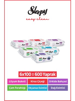 Sleepy Easy Clean Yüzey Temizlik Havlusu & Mendili 6X100 Karma Paket Doğa-Çiçek Serisi Renksiz