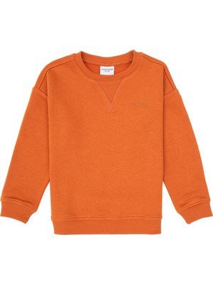 U.S. Polo Assn. Erkek Çocuk Bakır Bisiklet Yaka Basic Sweatshirt 50313829-VR182