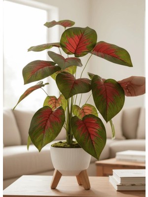 Nettenevime Yapay Çiçek Salon Bitkisi Kızıl Difenbahya 70CM 18 Yaprak Beyaz Zigon Saksıda