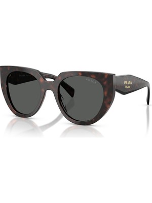 Prada Güneş Gözlüğü Pr 14WS 52 17N40L