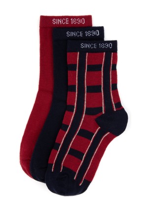U.S. Polo Assn. Erkek Çocuk 3'lü Soket Çorap 50318057-VR014