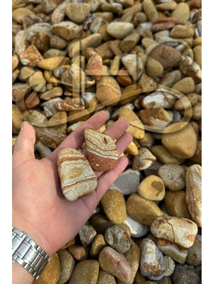 Ahs Sarı Çizgili Rainbow Dolomit Çakıl Taşı 4-8 cm 2 kg Dekoratif Bahçe Peyzaj Saksı Akvaryum Teraryum