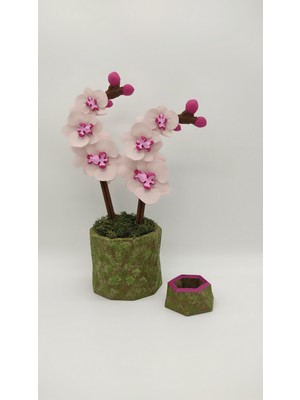 Dalia Viola Pembe Orkide