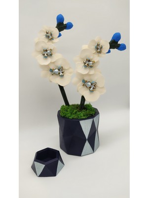 Dalia Viola Mavi Orkide