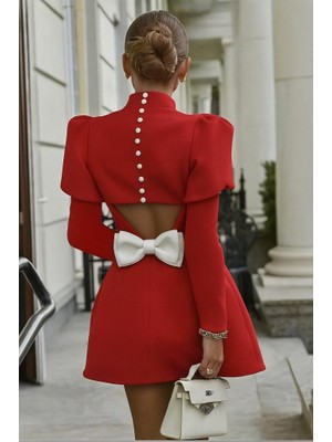 Eccey Butik Kadın Uzun Kollu Yarı Balıkçı Yaka Arkadan Kurdela Detaylı Mini Atlas Elbise