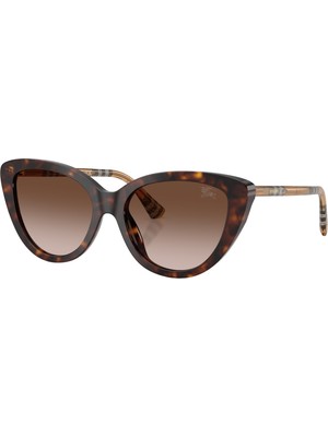 Burberry Güneş Gözlüğü BE4457 55 421613