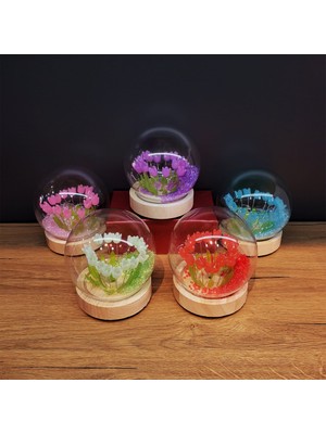 Dktt Led Işıklı Lale Cam Fanus 1 Adet