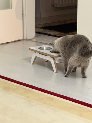 Akçehome Miyavio Kedi & Köpek Mama Standı