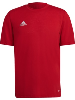 Adidas Performance HN5920 Entrada 22 Poly Tişört