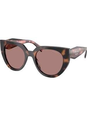 Prada Güneş Gözlüğü Pr 14WS 52 23A60B