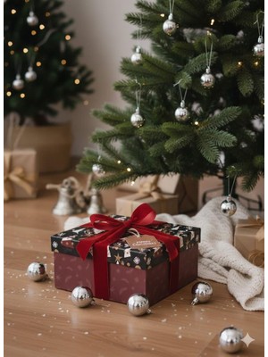 Dodomar Hediyelık Yılbaşı Kare Kutu Fable 20X20CM  No:5