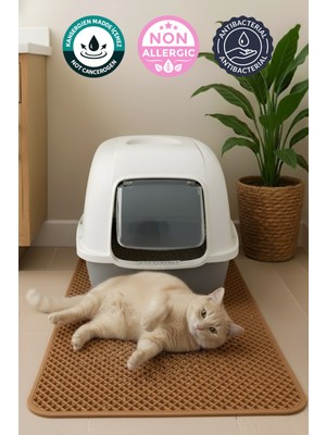 PaspasBurada 60X90 cm Taba Kedi Tuvaleti Önü Paspası Kedi Kumu Paspası