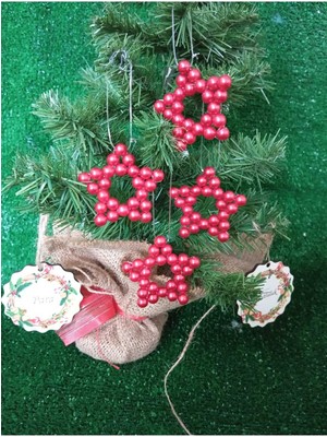 4'lü Kırmızı Nar Çiçeği Inci Boncuklu Yıldız Dekoratif Set 7cm