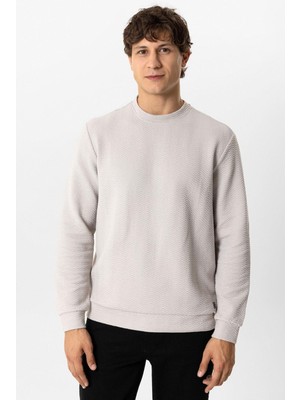 Açık Gri Regular Fit Pamuklu Desenli Bisiklet Yaka Sweatshirt
