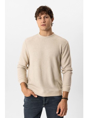 Bej Regular Fit Desenli Bisiklet Yaka Sweatshirt