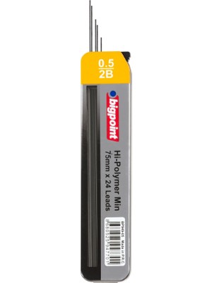 Bigpoint 0.5mm Kalem Ucu 75mm 24'lü Tüp 12'li Kutu Yüksek Kaliteli Polimer ile Güçlü Yazım